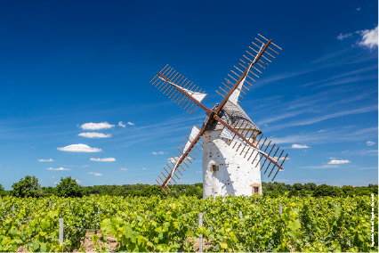 Moulin blanc au vignoble Mourat à Mareuil-sur-Lay 