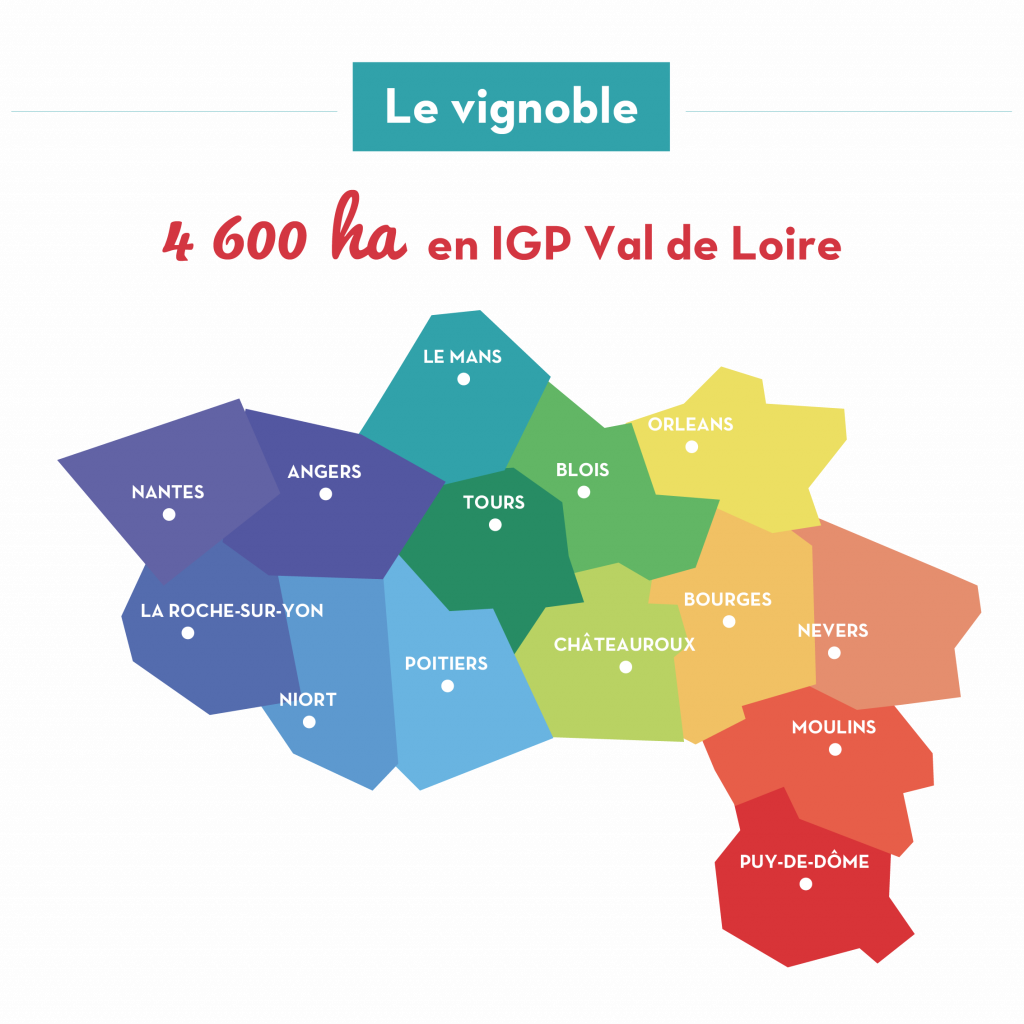 Carte des départements producteurs d'IGP Val de Loire